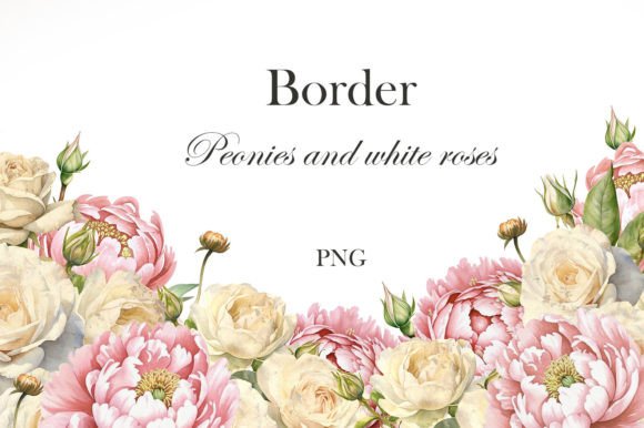 Download Watercolor Roses and Peonies Border - Peonies Collection