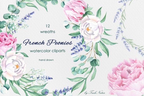 Download French Peonies Watercolor Wreaths - Peonies Collection