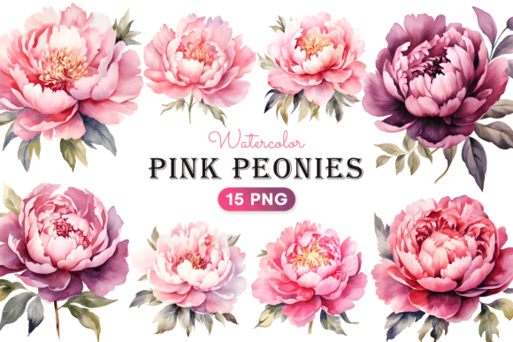 Download Watercolor Pink Peonies Flower Clipart - Premium Bundle