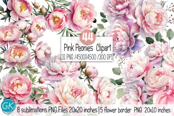 Download Watercolor Blush Peonies Flowers Clipart - Premium Resources
