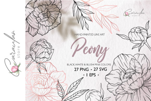Download Peonies Line Drawing, Floral Line Art - Peonies Collection