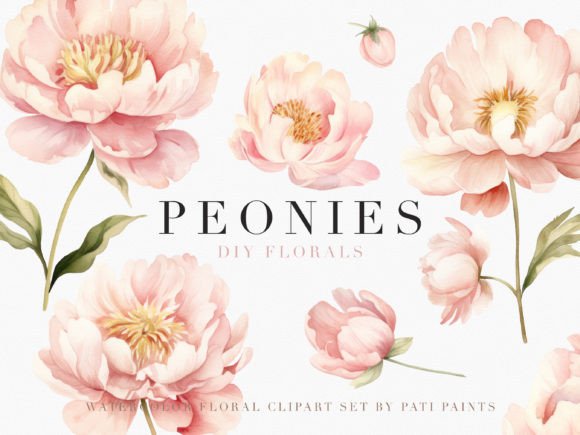 Download Watercolor Dusty Pink Peonies Cliparts - Peonies Collection