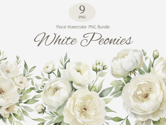 Download White Peonies Watercolor PNG Bundle - Peonies Collection