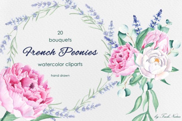 Download French Peonies Watercolor Bouquests - Peonies Collection