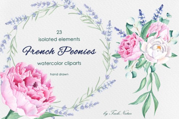 Download French Peonies Watercolor Clipart - Peonies Collection