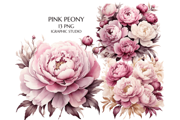 Download Pink Peony Clipart, Peonies Png - Peonies Collection