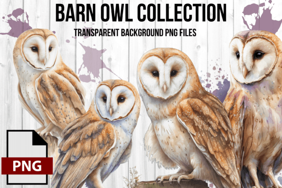 Download Watercolor Vintage Barn Owl Graphic Set - Owl Collection