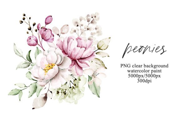 Download Pink Flowers Watercolor Peonies, PNG. - Premium Bundle