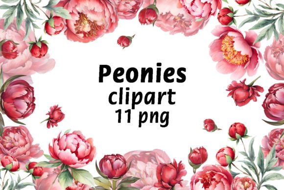 Download Peonies Watercolor Clipart, PNG - Peonies Collection